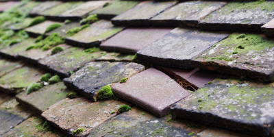 Wolverhampton roof repair costs